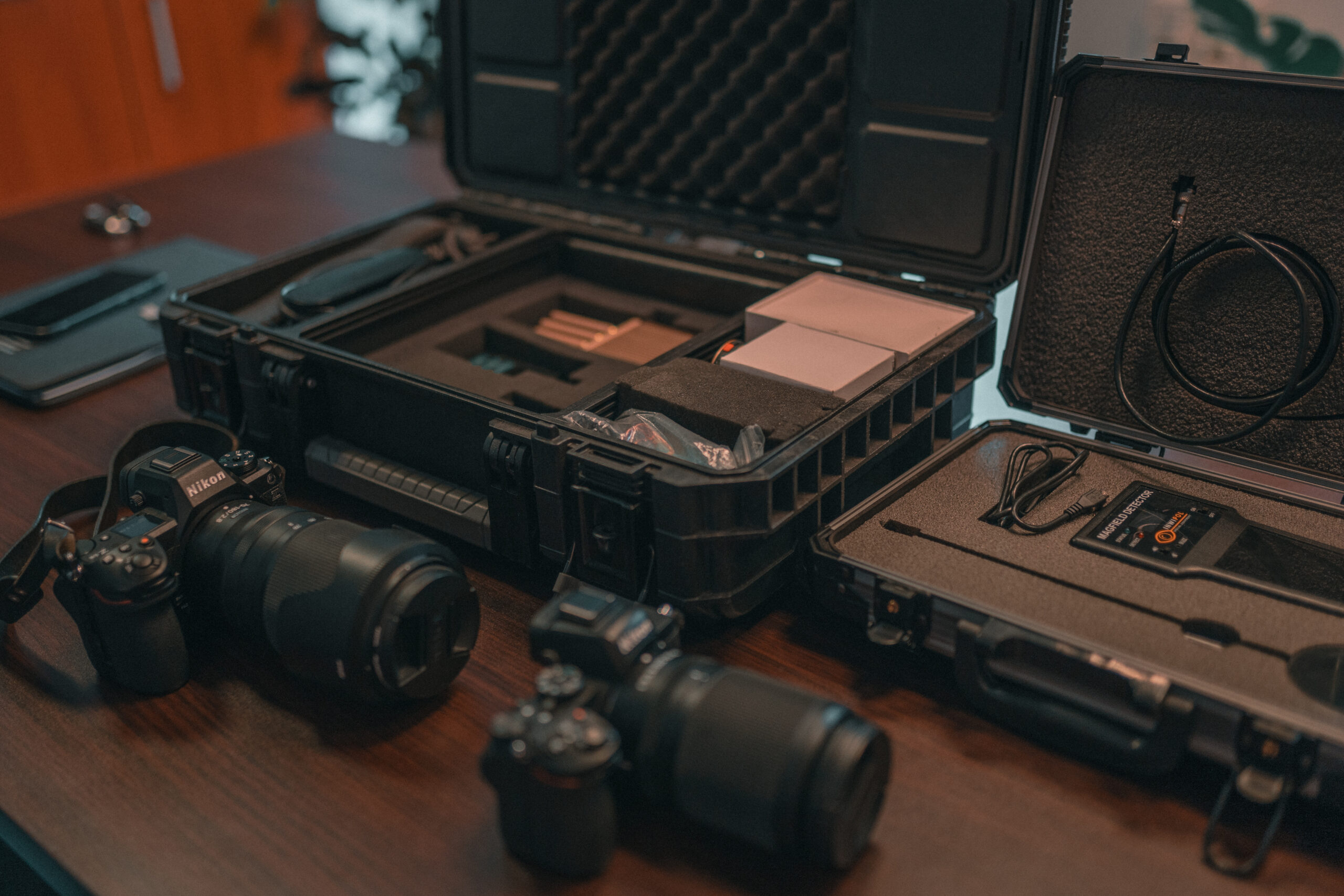 Wykrywanie ukrytego majątku dłużnika alimentacyjnego<br />
